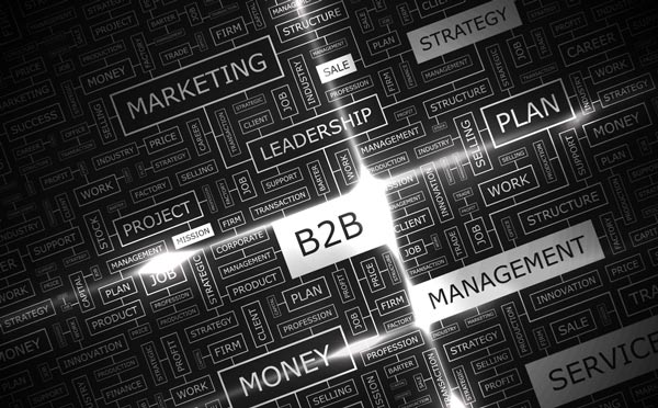 B2B Gift Card Buyer Expericnce B2B Gift Card Buyer Expericnce